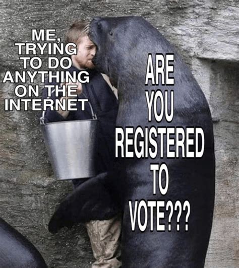 Post your 2020 election memes | TigerDroppings.com