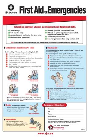 Free Red Cross Choking Labor Law Poster 2020