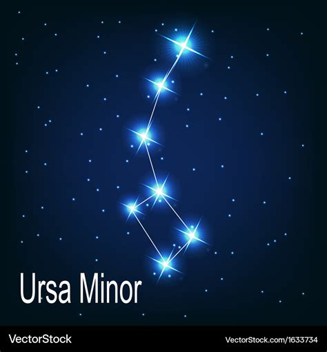 The constellation Ursa Minor star in the night Vector Image