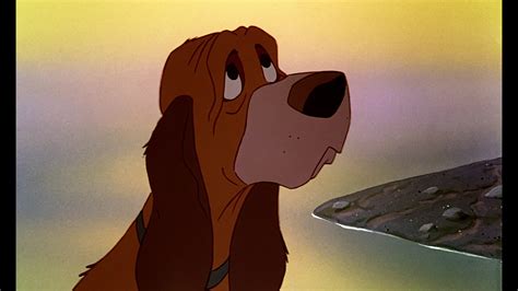 The Fox and the Hound: Screenshots - The Fox and the Hound Photo (38784931) - Fanpop