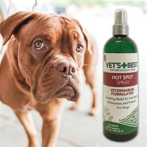 Hot Spot Spray for Dogs from Vet's Best, 16 oz. - Hiking Dog Co.