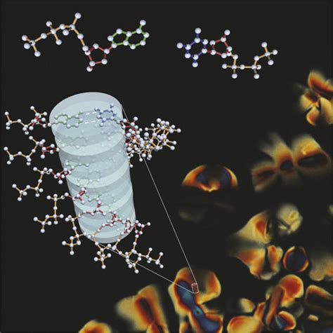 Schematic self-assembly of dNTP into a DNAanalog with an absent ...