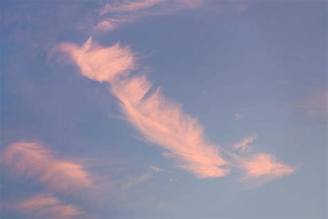 Premium Photo | Pink sunset cirrus clouds on evening sky