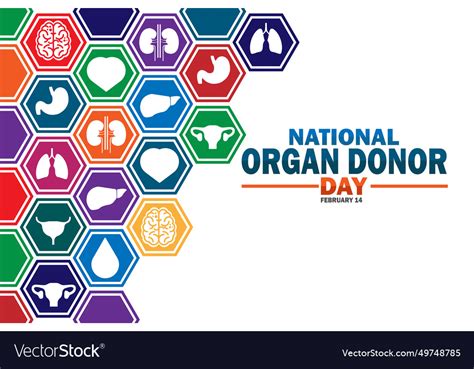 National organ donor day Royalty Free Vector Image