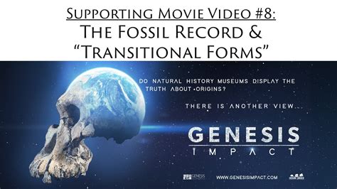 Genesis Impact Support Video 8 | The Fossil Record and Transitional ...