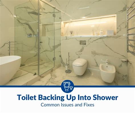 Toilet Backing Up Into Shower: Common Issues and Fixes (2024)