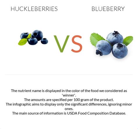 Huckleberries vs. Blueberry — In-Depth Nutrition Comparison