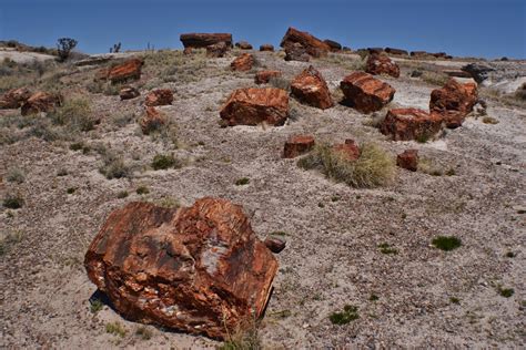 No Bad Days RVing: Petrified Forest National Park