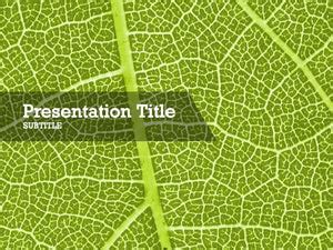 Free green leaf Powerpoint template and Google Slides theme