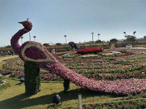 Must Visit Riverfront Flower Show Ahmedabad in 2023 - Dates, Tickets ...