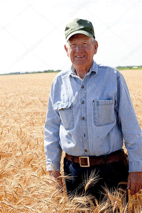 Hardworking old farmer stands in wheat field Stock Photo by ©jbryson 21426117