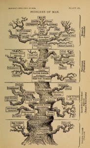 The Theory of Biogenesis | Spallanzani’s and Pasteur’s Experiment