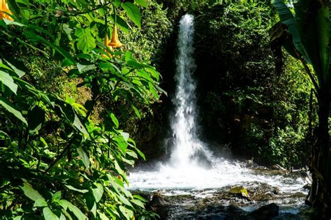 Ecotourism in Michoacan: The Uruapan National Park