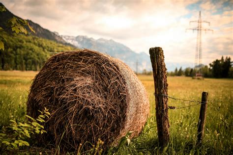 Hay Beside Brown Wood Slab · Free Stock Photo