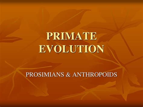 PROSIMIANS & ANTHROPOIDS - ppt download