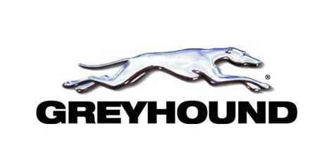 Greyhound Bus Reviews 2019