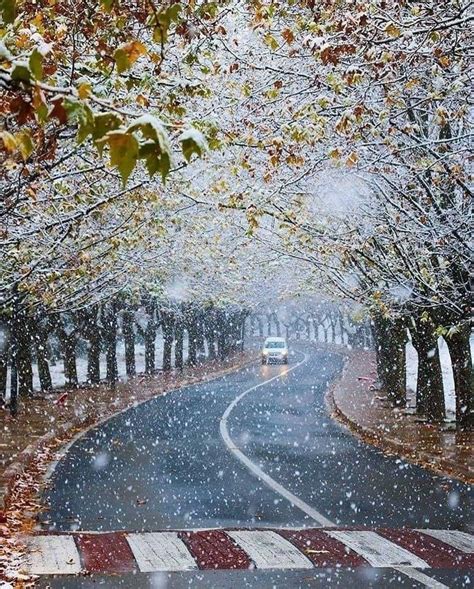 In Pictures: Snow-Covered Ifrane, Morocco’s Winter Wonderland