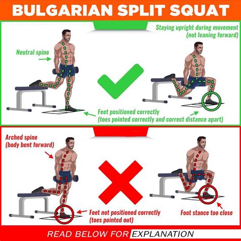 How to Correctness of the Execution Bulgarian Split Squat & Video