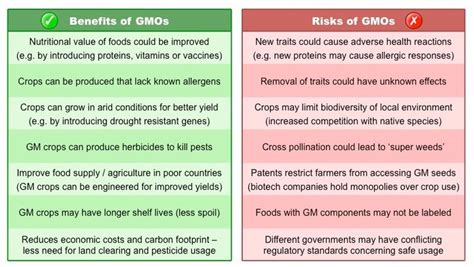 Here ae some pros and cons about GMOs. | Nutritional value of food, How ...