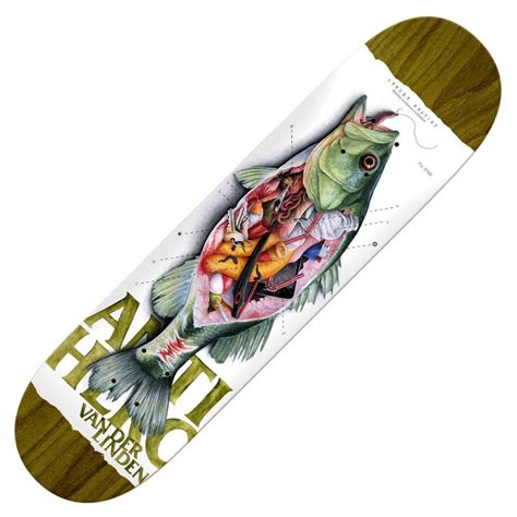 Antihero Skateboards Van Der Linden Street Anatomy Skateboard Deck 8.25'' - SKATEBOARDS from ...