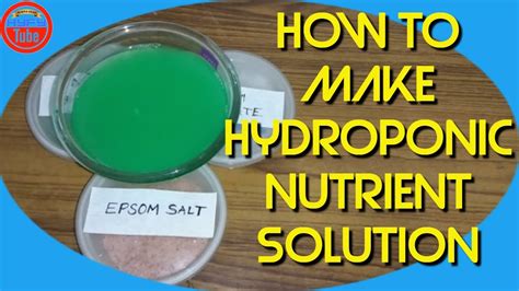 Homemade Liquid Fertilizer For Hydroponics - Homemade Ftempo