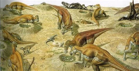 Maiasaura Nesting by WillDynamo55 on DeviantArt