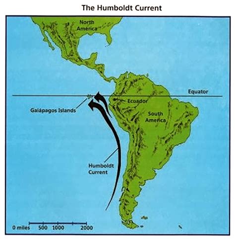 Humboldt Current - Licchavi Lyceum