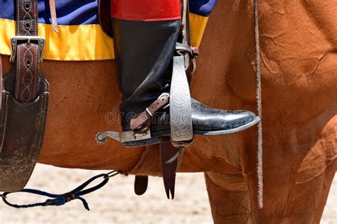 Horse riding gear. stock image. Image of riding, saddle - 104098541