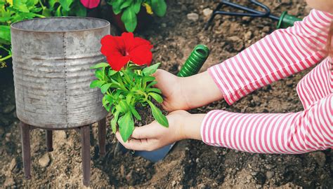 Metal Plant Stands: The New Trend - The Plant Pot Blog