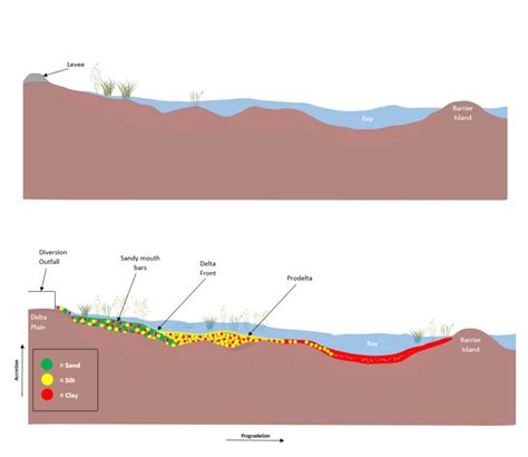 Anatomy of a Delta: The Foundation of New Land - Restore the Mississippi River Delta