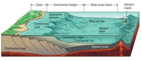 Cuencas Oceánicas