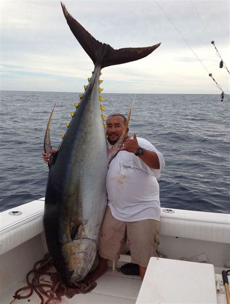 Puerto Vallarta yellowfin tuna fishing - questions and answers