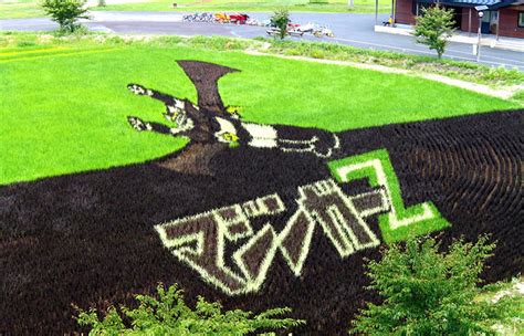 Japanese Town Transforms Rice Paddy Fields Into Gigantic Works Of Art ...