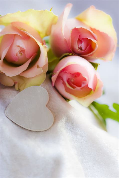 Free Images : blossom, white, petal, bloom, heart, rose, food, romance ...