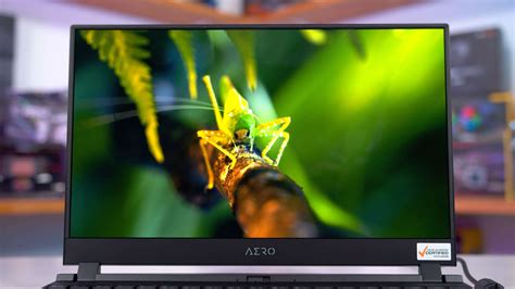 Testing an OLED Laptop Display: It's Pretty Amazing | TechSpot