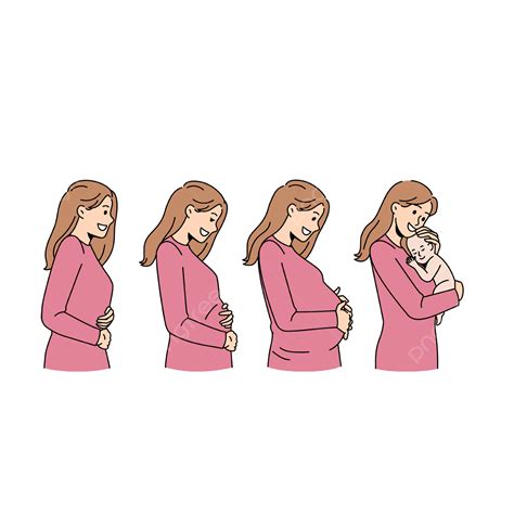 Smiling Woman During Different Pregnancy Stages, Woman, Pregnancy, Stage PNG and Vector with ...