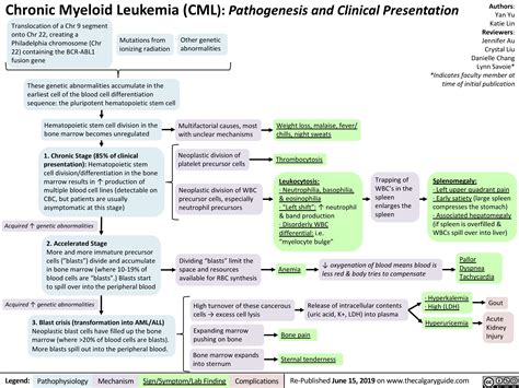 Acute Myeloid Leukemia Diagnosis