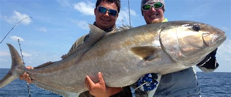 Offshore Fishing Charters - Florida Fishing & Hunting