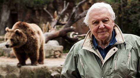 BBC Two - David Attenborough's Natural Curiosities, Series 4, Animal ...