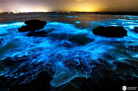 Stunning bioluminescence display in Jervis Bay