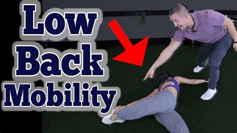 Exercises for Low Back Pain and Mobility | Low Back Mobility - YouTube