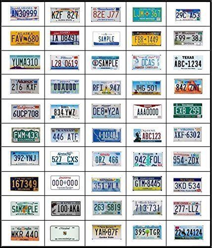 The Ultimate Guide to States with Personalized License Plate Botox ...