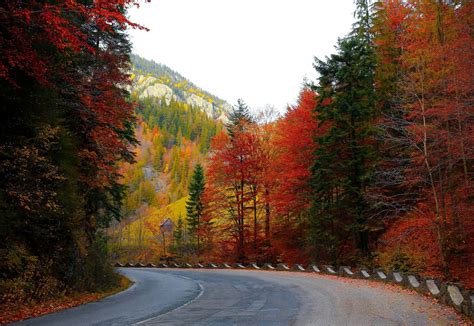 How to Experience fall colors on Talimena National Scenic Byway