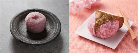 Two Sakura Mochi Named After Temples