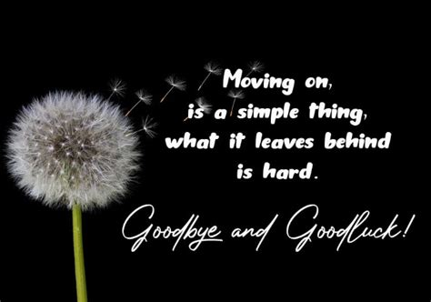 70 Farewell Messages To Boss – Goodbye Wishes Quotes - Wishes & Messages Blog