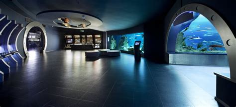 Istanbul Aquarium, Istanbul - Book Tickets & Tours | GetYourGuide