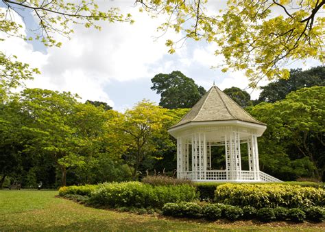 Our ultimate guide to Singapore Botanic Gardens | Honeycombers