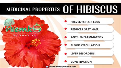 Medical Properties of Hibiscus | Hibiscus tea benefits, Hibiscus tea ...