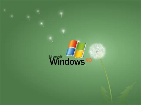 Windows XP, dandelion, operating system, logo, Microsoft Windows, artwork, simple background, HD ...