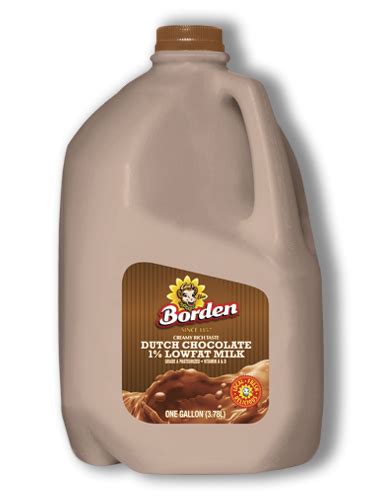 1 Percent Dutch Chocolate Low Fat Milk - Borden Dairy